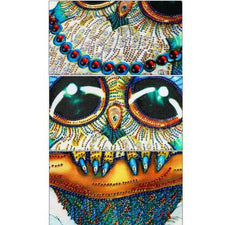 Mit Perlen - Die Eule 2 - Diamond Painting